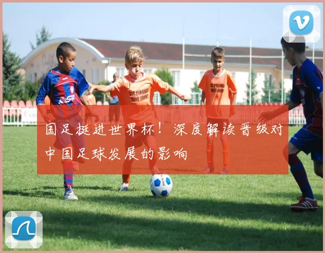 国足挺进世界杯！深度解读晋级对中国足球发展的影响