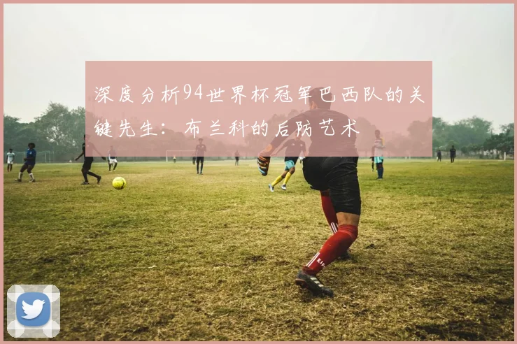 深度分析94世界杯冠军巴西队的关键先生：布兰科的后防艺术