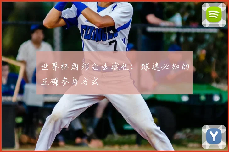 世界杯购彩合法途径：球迷必知的正确参与方式