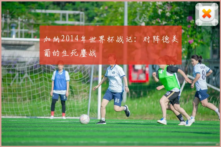 加纳2014年世界杯战记：对阵德美葡的生死鏖战