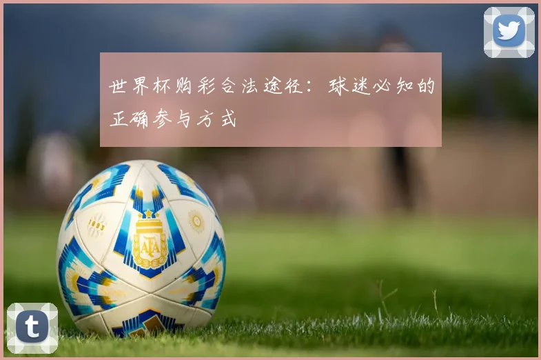 世界杯购彩合法途径：球迷必知的正确参与方式