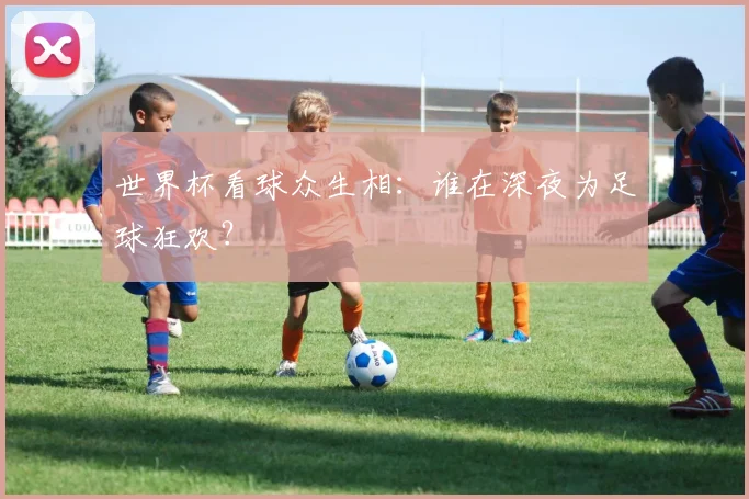 世界杯看球众生相：谁在深夜为足球狂欢？
