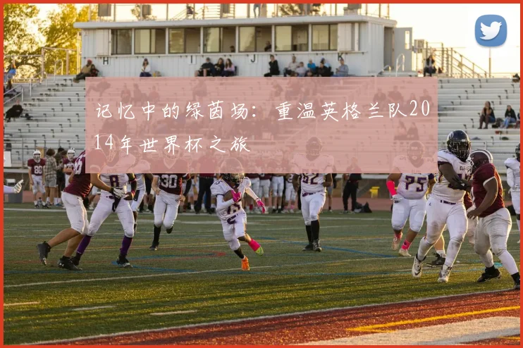 记忆中的绿茵场：重温英格兰队2014年世界杯之旅